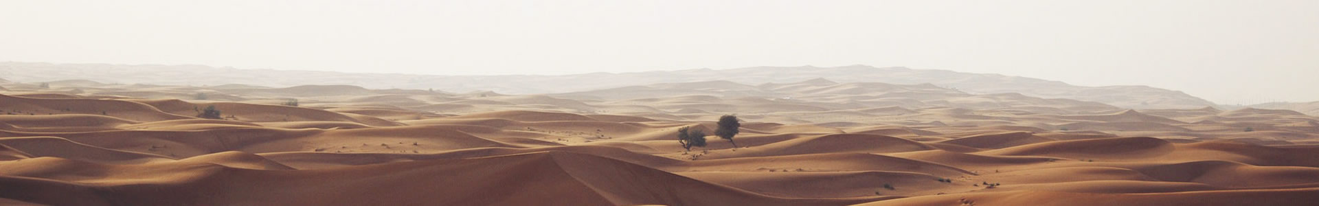 ɷƼ޹˾